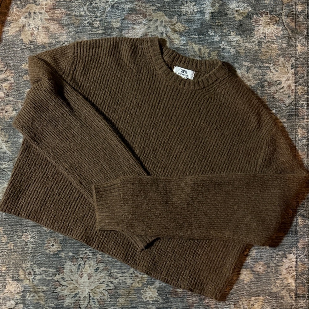Zara Brown Sweater